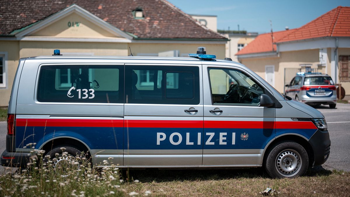 Innsbruck, mamma e figlia di 10 anni trovate morte in una cella frigorifera: arrestati due fratelli