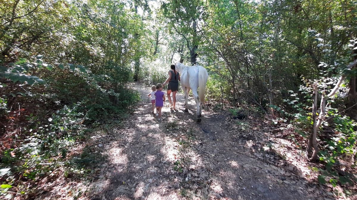 Famiglia nel bosco a Chieti, il padre: "Non capisco perché toglierci i figli, si sta distruggendo la vita di cinque persone"