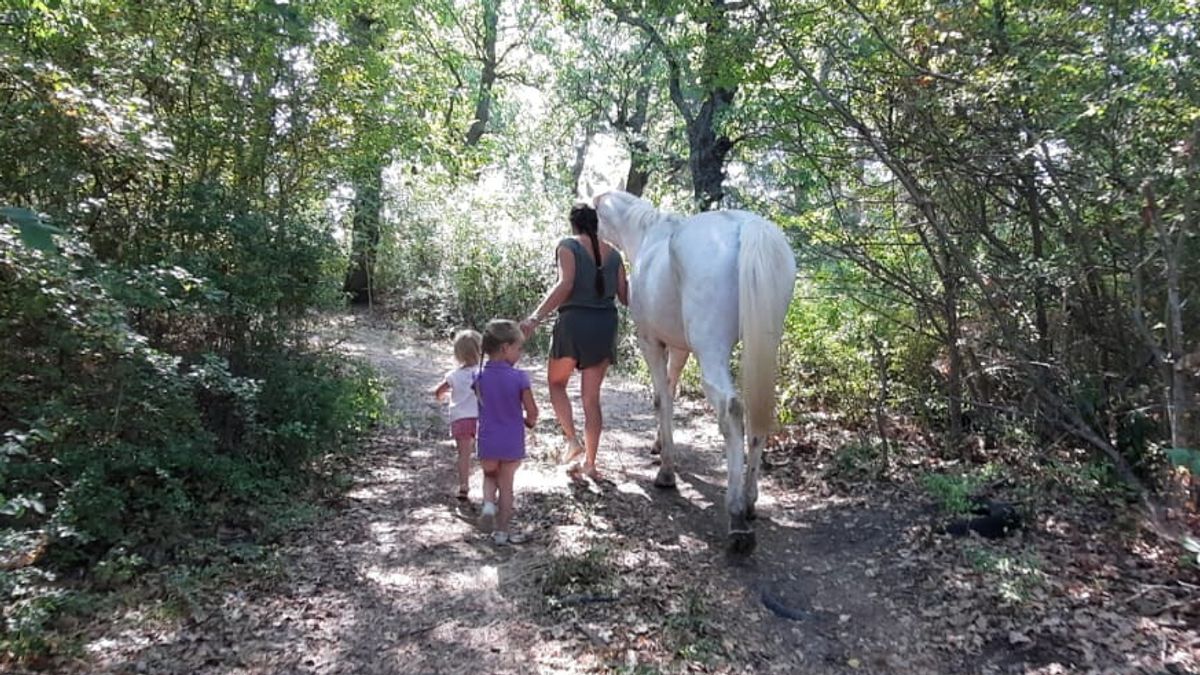 Bambini tolti alla famiglia nel bosco, Nordio: "Atto grave, valuteremo" | Salvini: "Giudici e assistenti sociali non rompano le scatole"