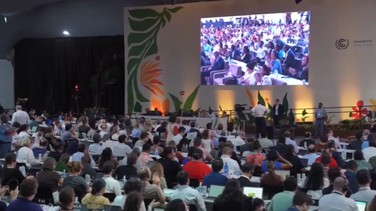 Accordo debole alla Cop30: tanti (ancora) i nodi da sciogliere