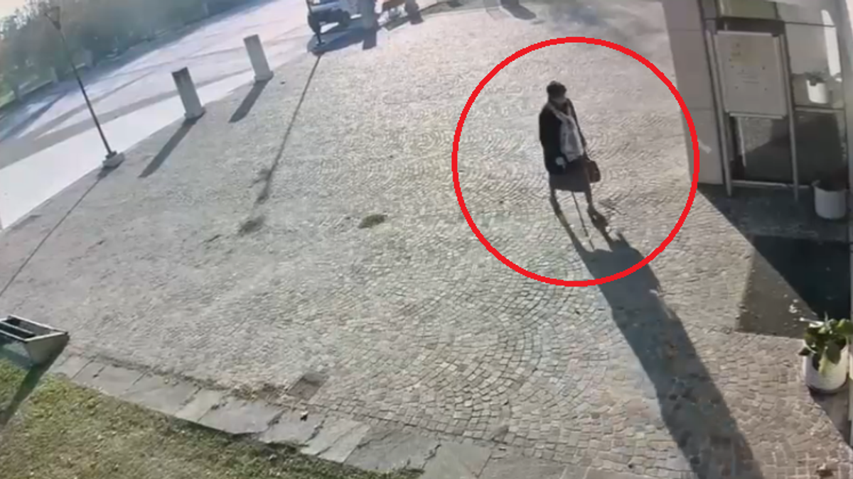 AABDTYYD Cintura da Donna Elastica,Cintura Larga Donna per Vestiti,Cintura fusciacca per donna