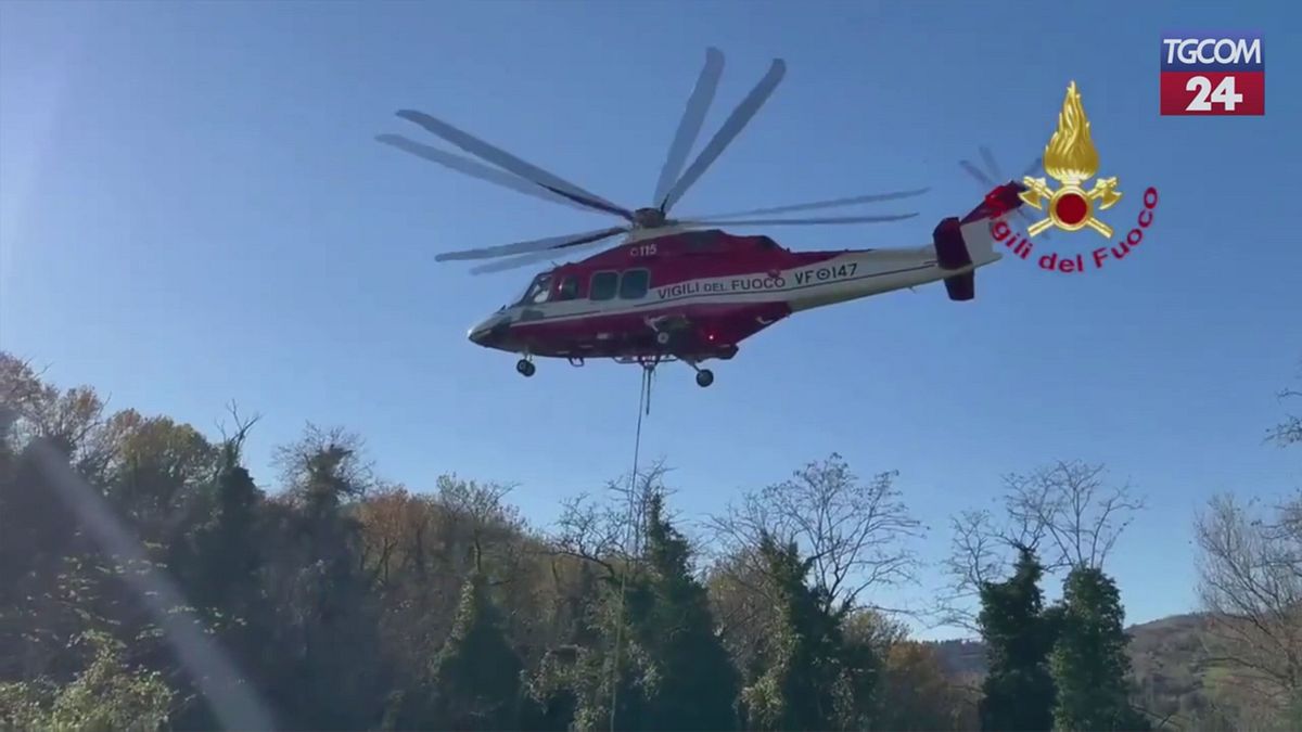 Forlì, cavallo soccorso in elicottero dai vigili del fuoco