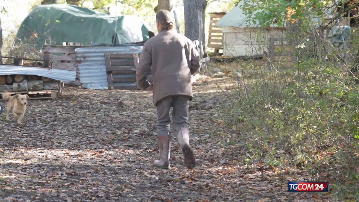 Famiglia nel bosco, il legale rimette il mandato