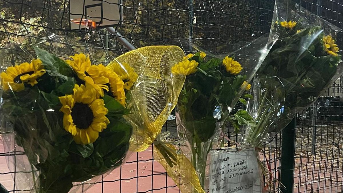 milano girasole dedicato a un figlio morto strappato scatta la protesta dei fiori