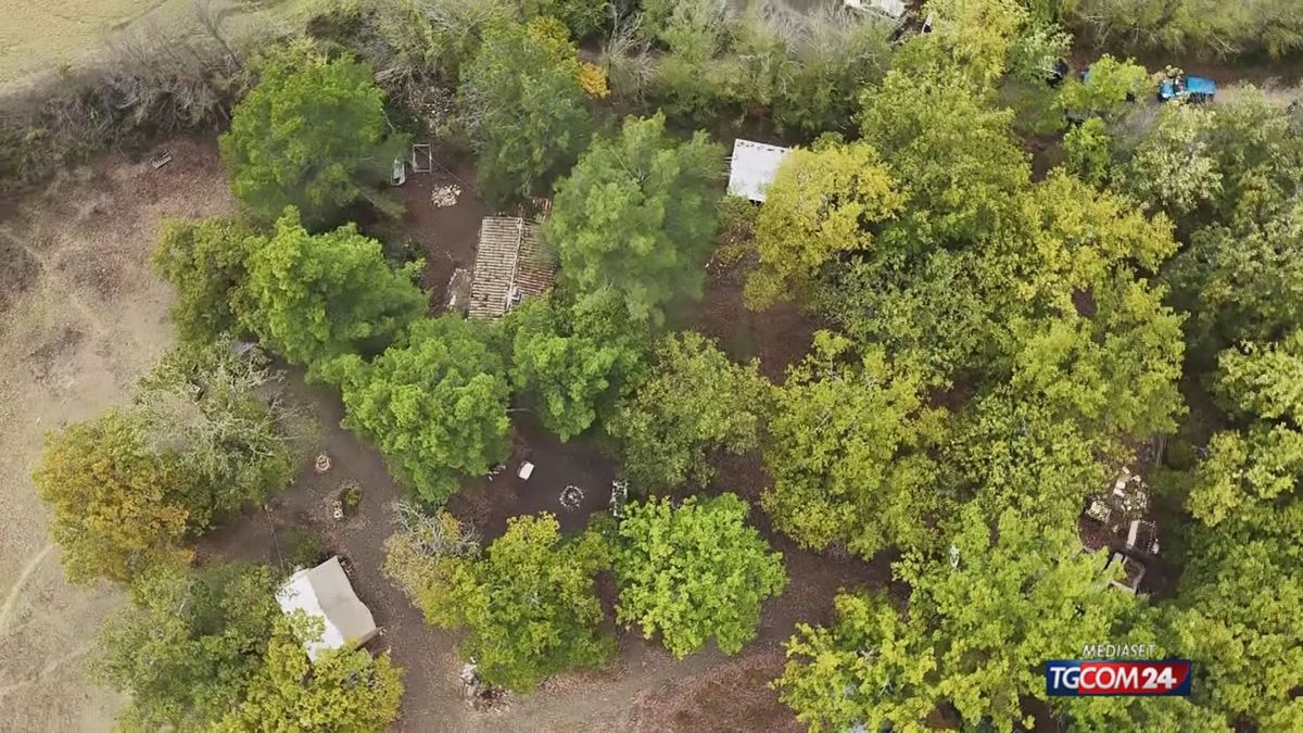 Famiglia nel bosco, udienza decisiva mercoledì 4 dicembre