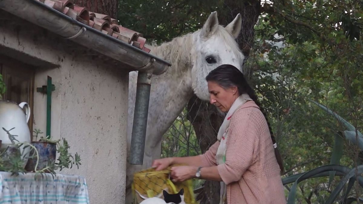 Famiglia nel bosco, la Garante: "Allontanare la madre? Ulteriore trauma per i bambini"