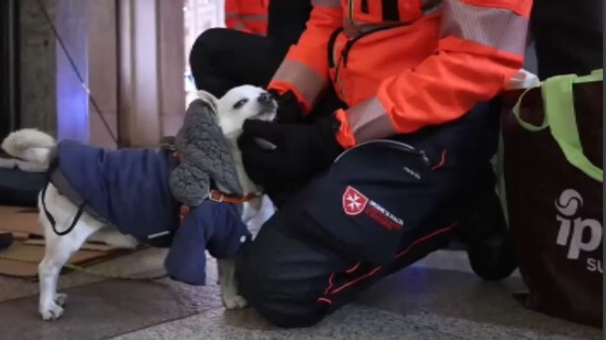 Poldorescue'dan da dört ayaklı arkadaşlarına yardım ediyorlar