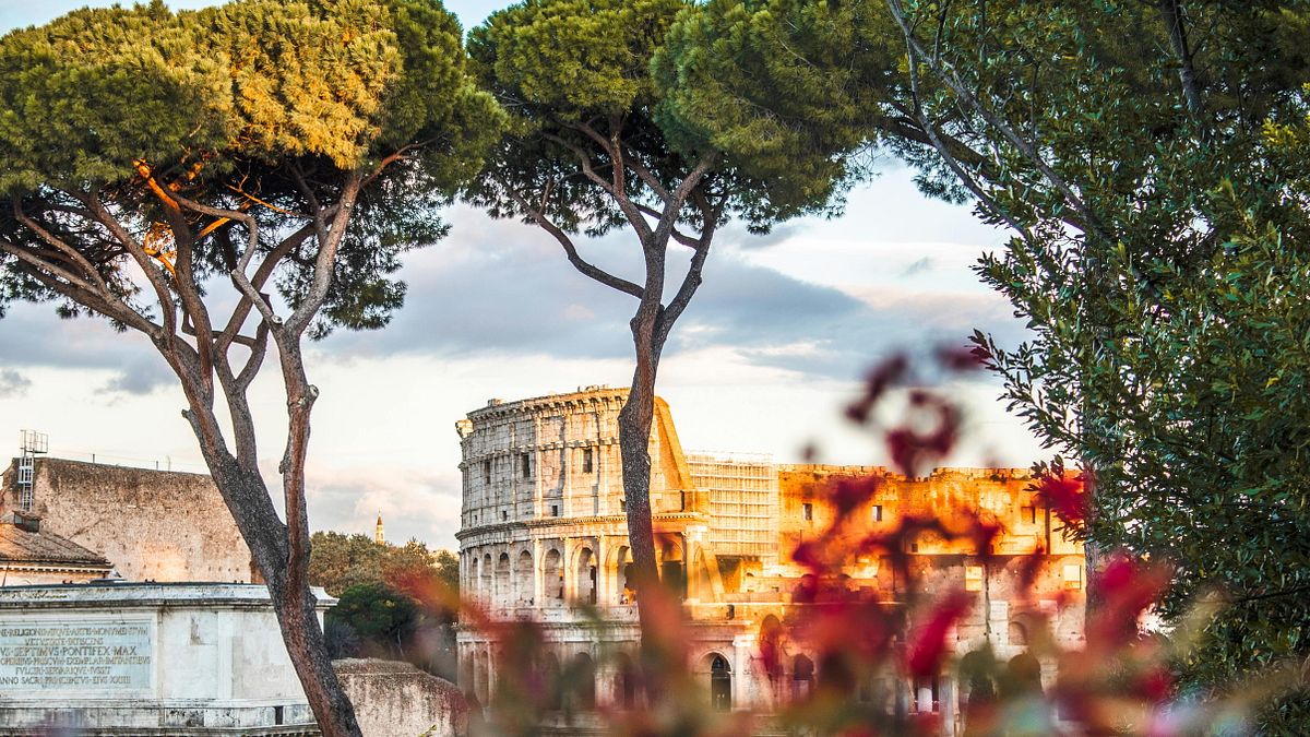 Cosa succede ai pini di Roma