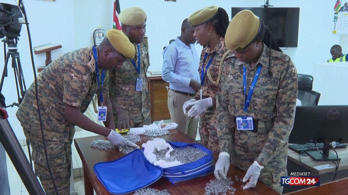 Kenya'da kaçak karıncalarla dolu kapsül ve şırıngalar bulundu: İki kişi tutuklandı