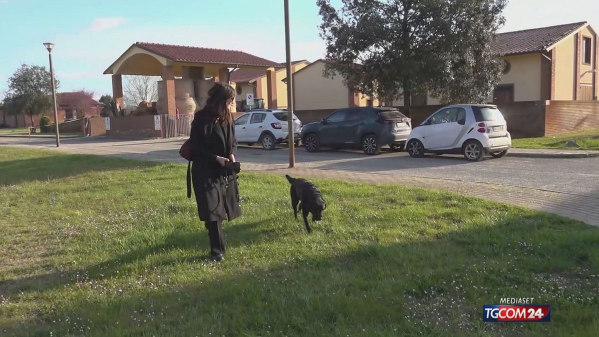Pisa'da artık dört ayaklı arkadaşlar bile kan bağışında bulunabiliyor