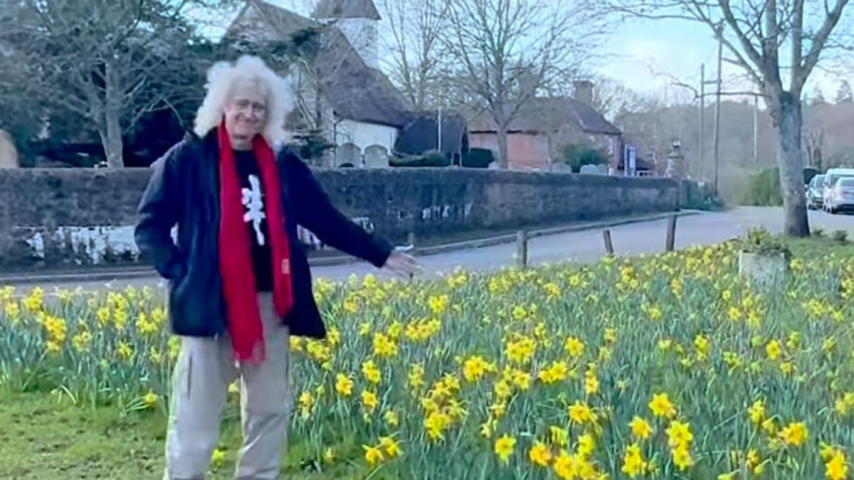 Brian May, belediye meclisi onun nergis tarlasını kapatıyor