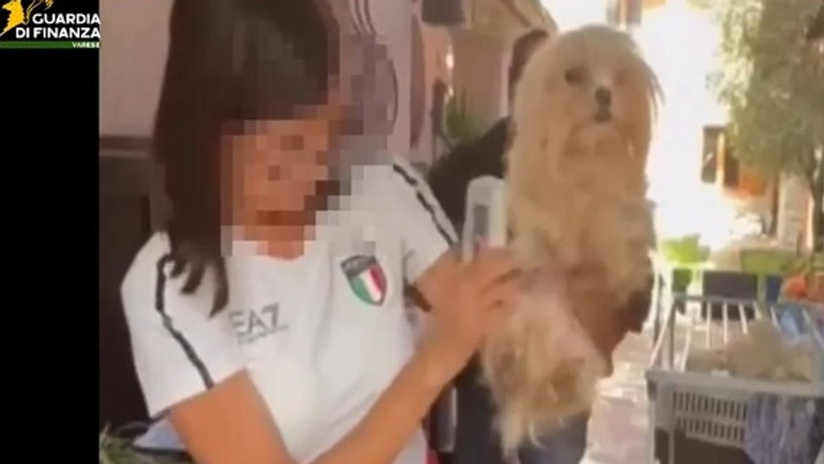 Varese, mali polis yasa dışı köpek yetiştiriciliğini keşfetti