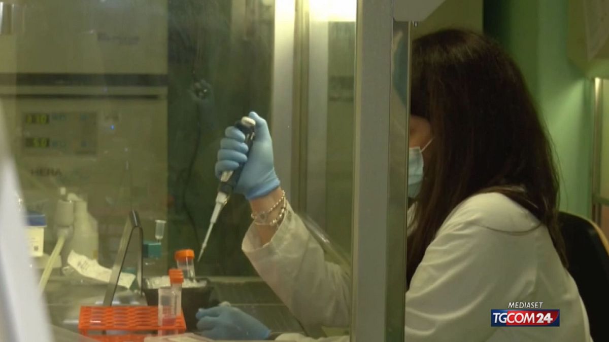 Hantavirüs, Roma'daki Spallanzani'deki Calabrialı denizcinin analizleri
