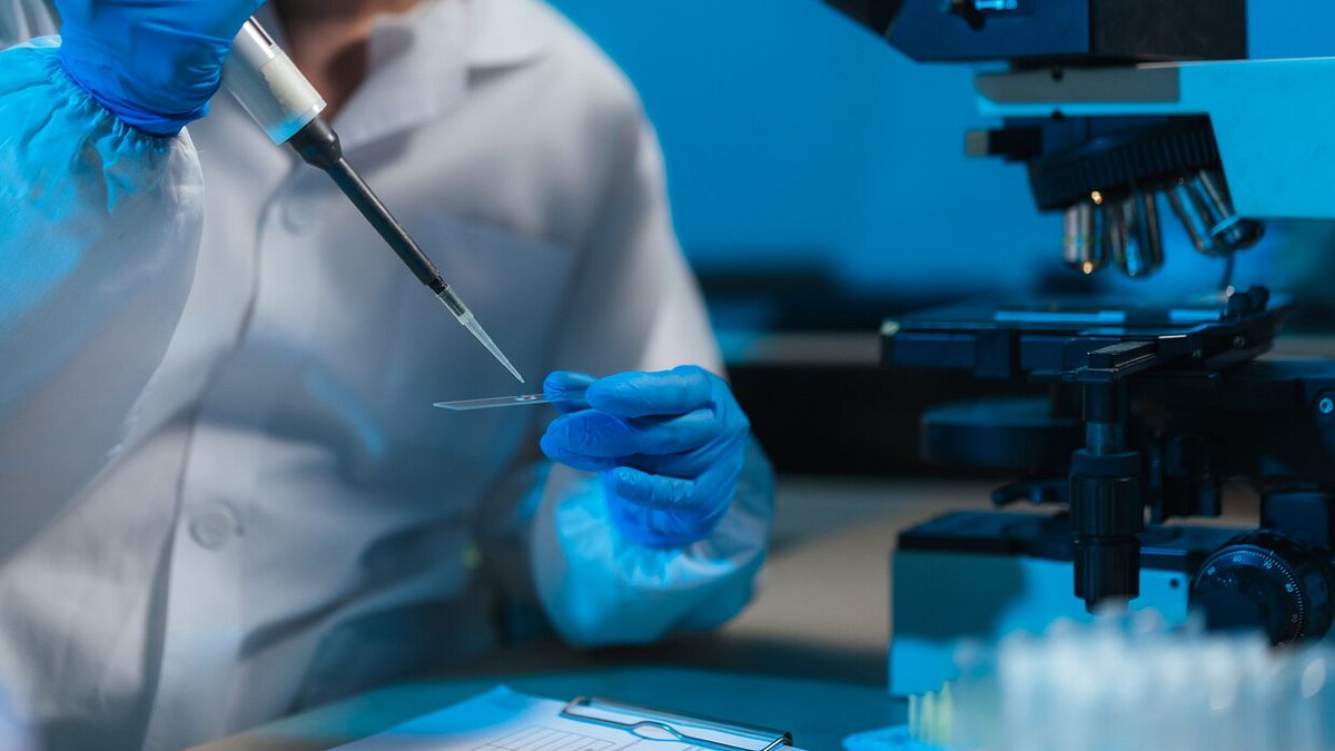 ABD'de araştırmacılar insan embriyosunun DNA'sını değiştiriyor