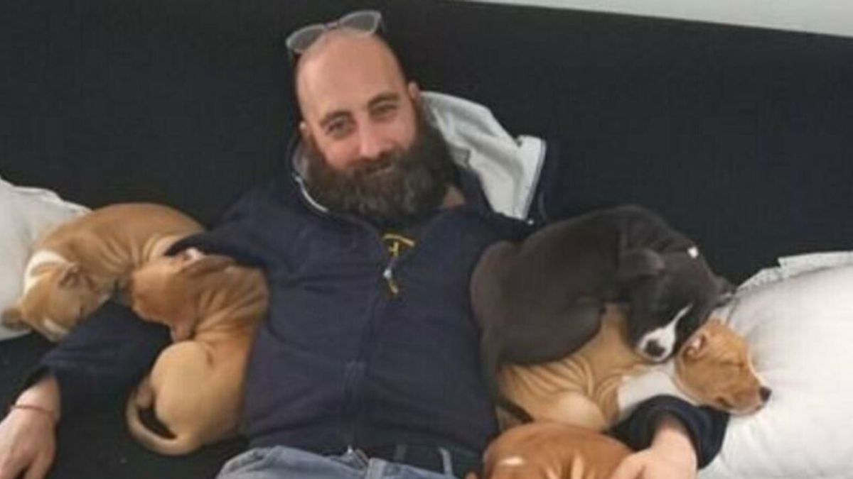 Bologna'da bir ısırıktan sonra öldü: 16 köpek sahiplendirilmeyi bekliyor