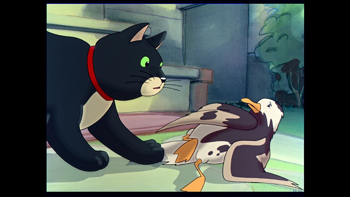 Mediaset Infinity, “Martı ve Kedi” Giffoni'de restore edildi