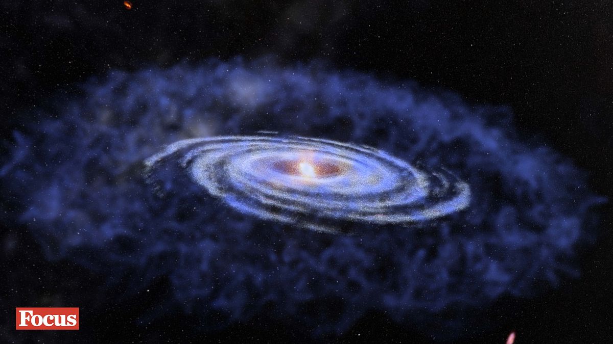 “X-Ray Universe”ün beşinci sezonu Focus'a geliyor