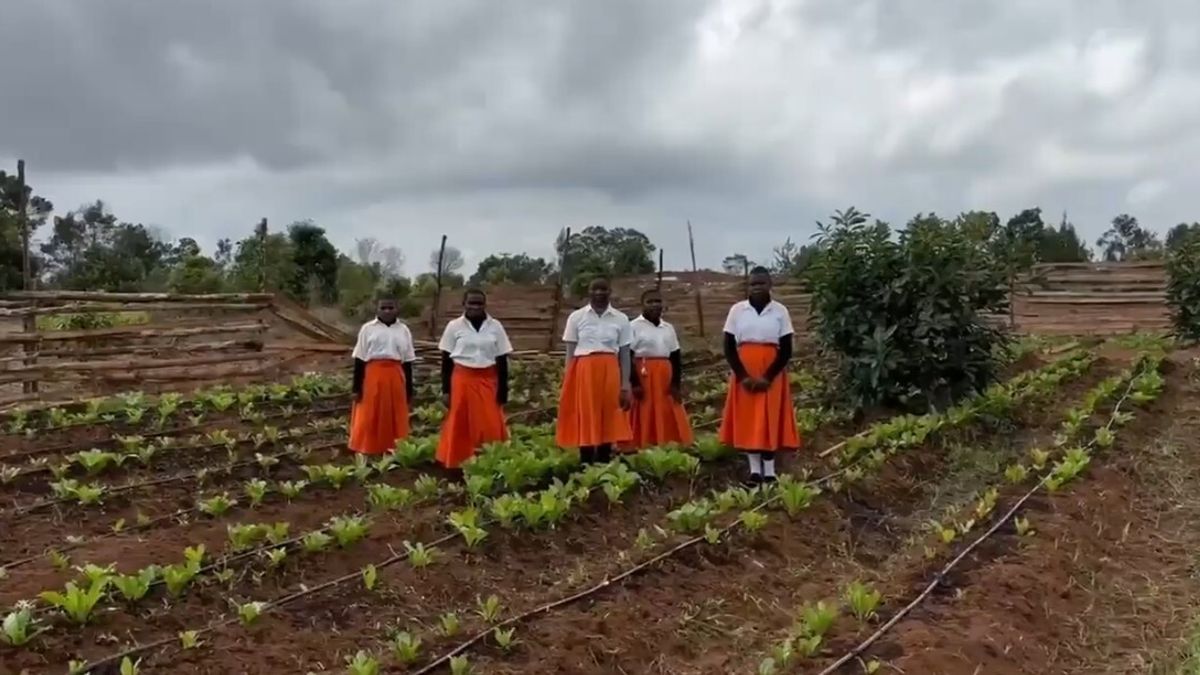 In Tanzania orti scolastici e pozzi per l'acqua contro l'emergenza della malnutrizione cronica infantile | Terraperta: "Già diecimila studenti al centro del nostro impegno"