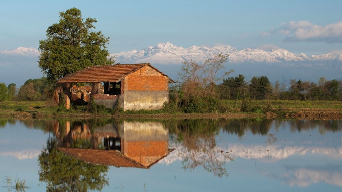 Vercellese: Santhià e il fascino delle risaie in autunno - Tgcom24