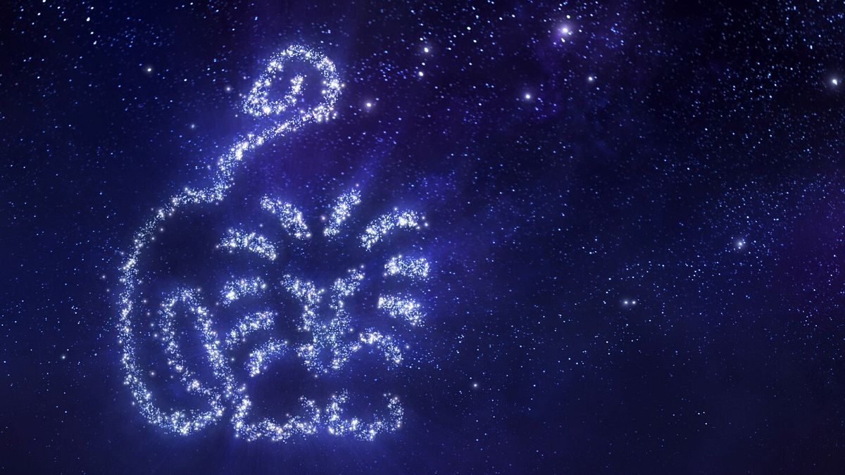 Caratteristiche Del Segno Zodiacale Leone - Oroscopo Di Domani - Foto 6