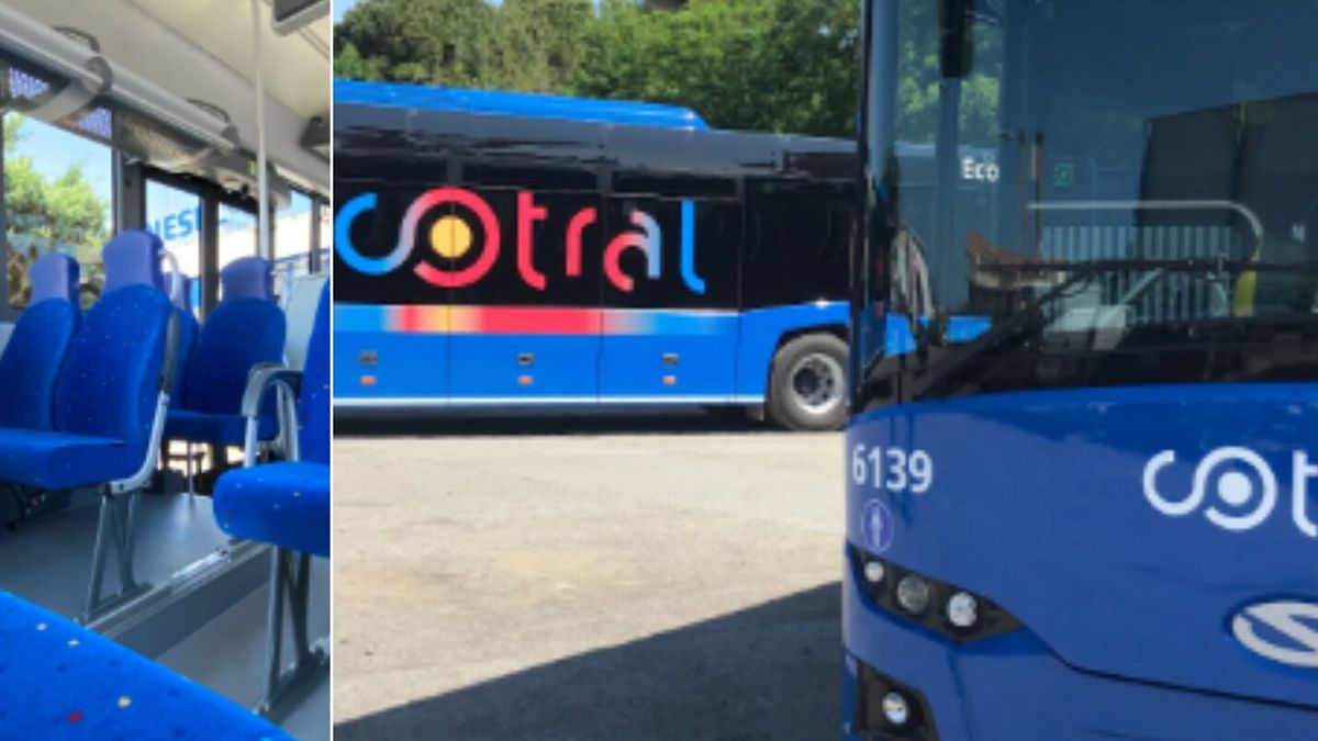 Autista Cotral si masturba mentre guida il bus