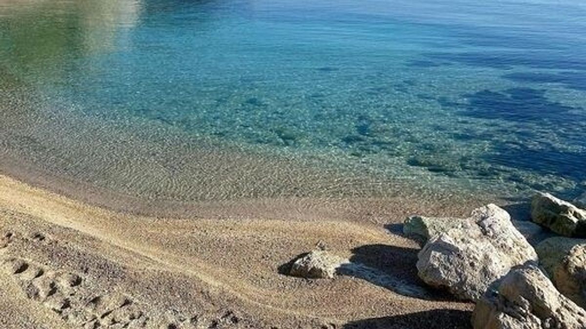 Marche: un mare sempre più blu