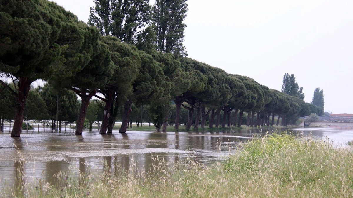 Alluvione in Romagna, il sacrificio degli agricoltori di Ravenna