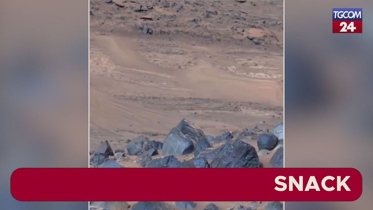 Starling Marte visual data 6