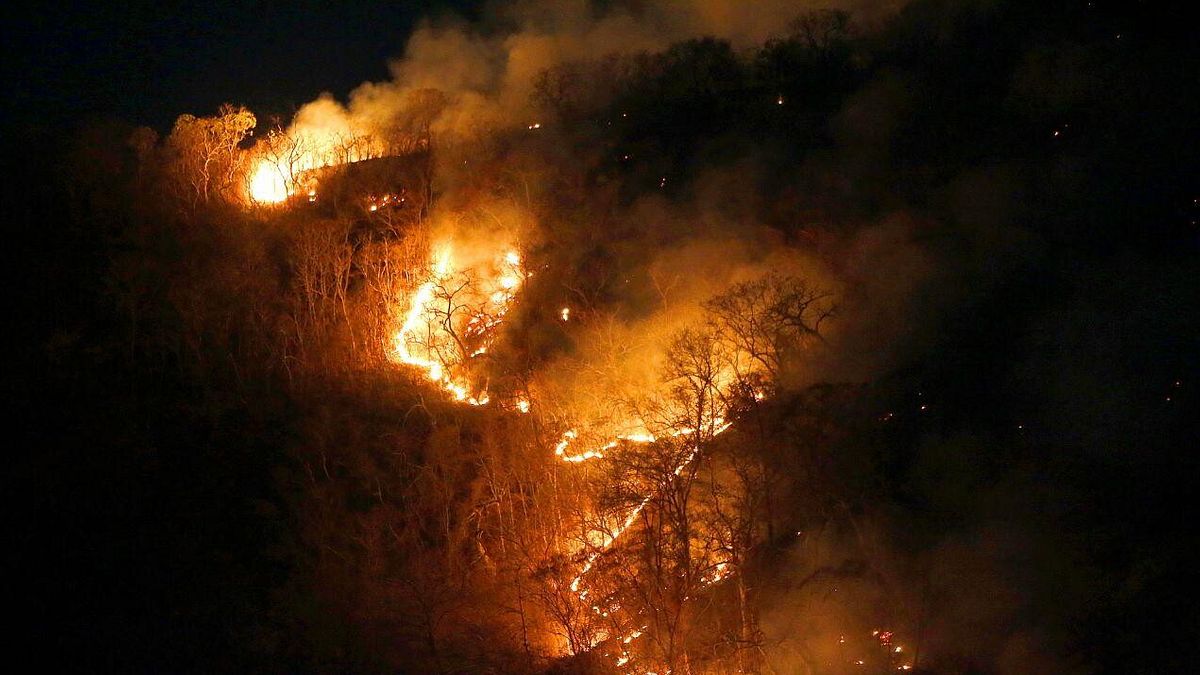 Nel 2024 in Amazzonia il maggior numero di incendi degli ultimi 20 anni