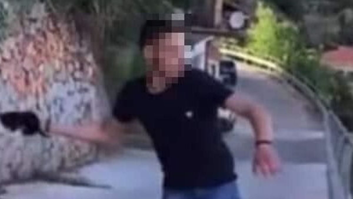 Ogliastra, minore lancia gatto da ponte di Lanusei: video shock