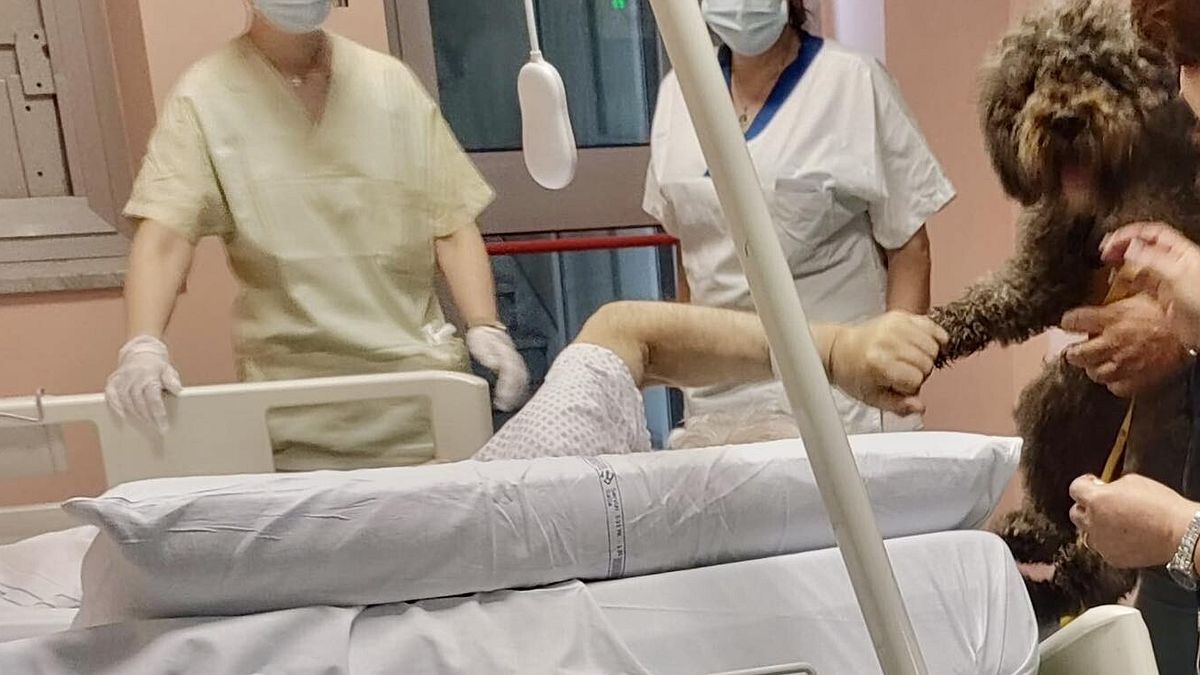 Milano, hastanede ölümcül hasta ile köpeğin son buluşması
