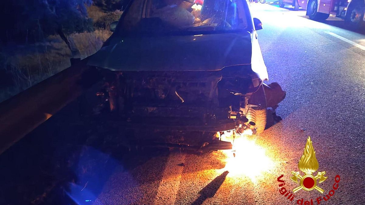Nuoro, travolge 7 pecore e scende dall'auto: morto investito