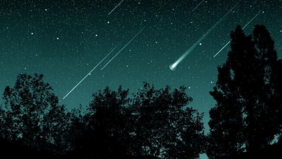 Il fenomeno delle stelle cadenti: cause e curiosità
