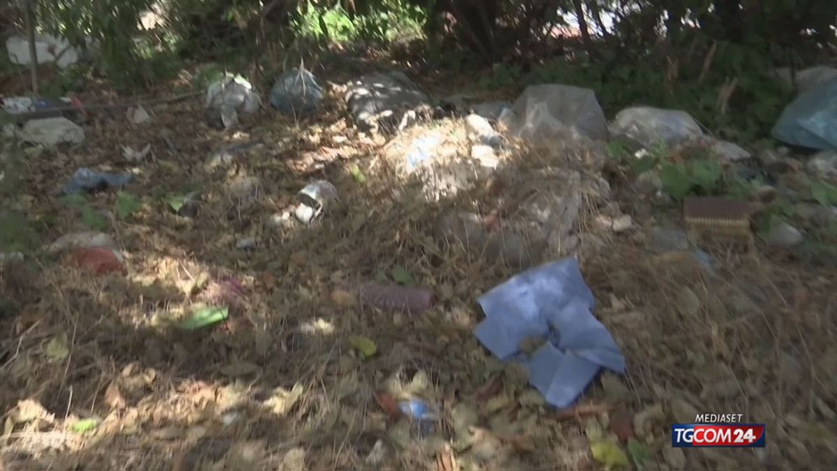 Roma è una giungla, la Capitale piena di ratti e serpenti