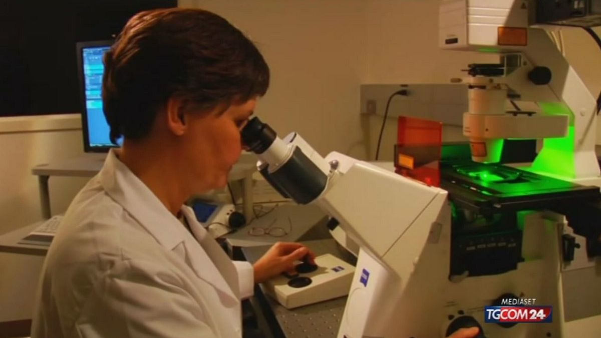 抗生物質耐性、「2050年までに3,900万人以上が死亡」