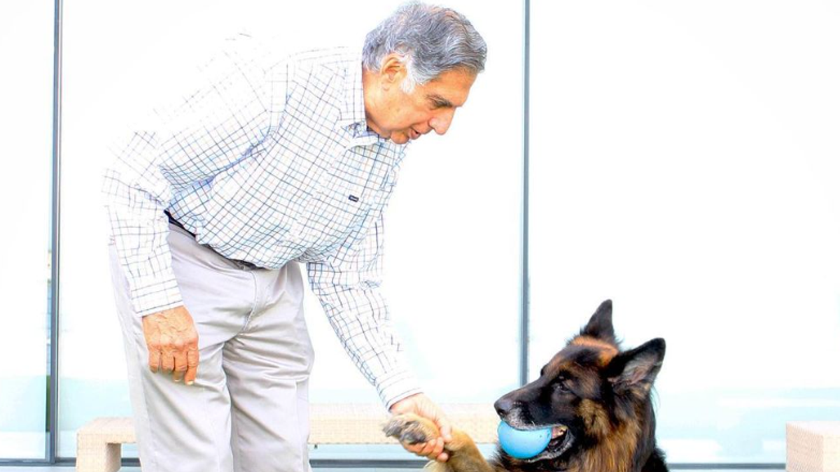 Hintli işadamı Ratan Tata mirasını köpeğe bırakıyor
