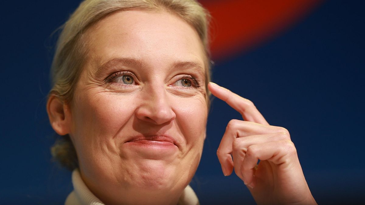 AfD'nin seçimlere katılan yeni lideri Alice Weidel kimdir?