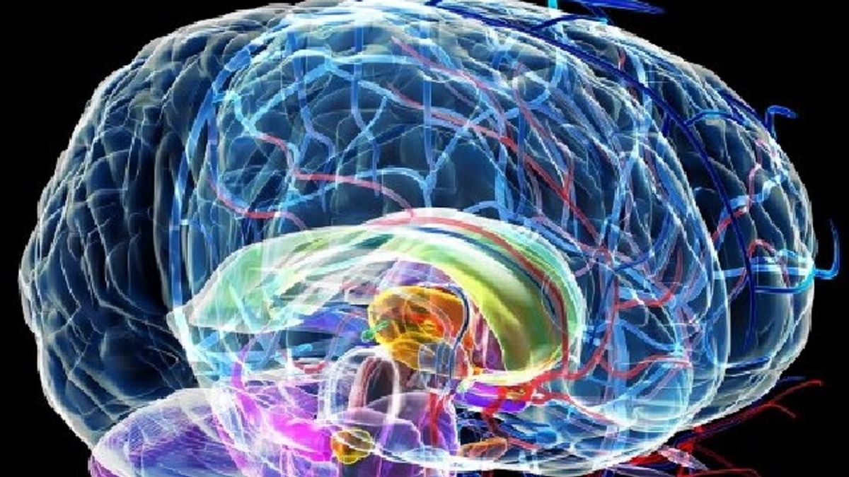 Alzheimer ve İtalyanlar hastalığa neden olan yeni bir gen keşfetti