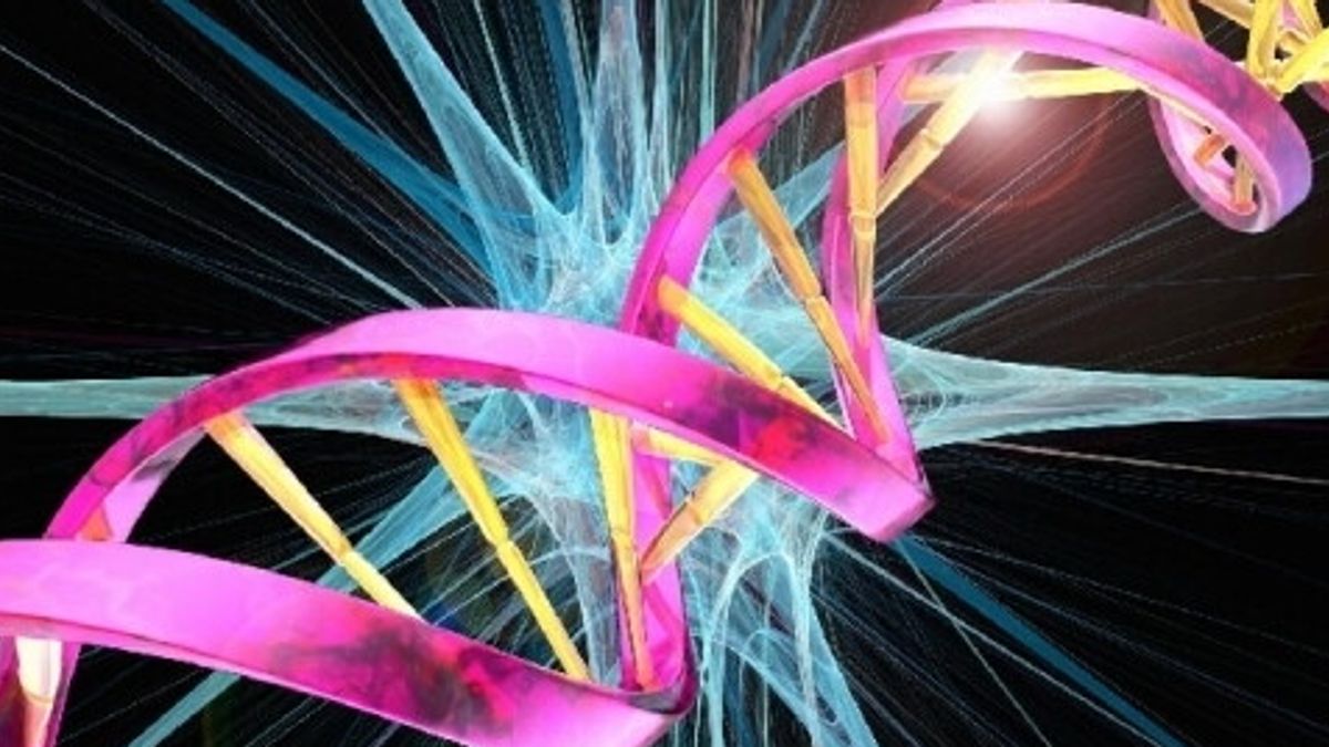 Gebe kalma anındaki DNA haritası