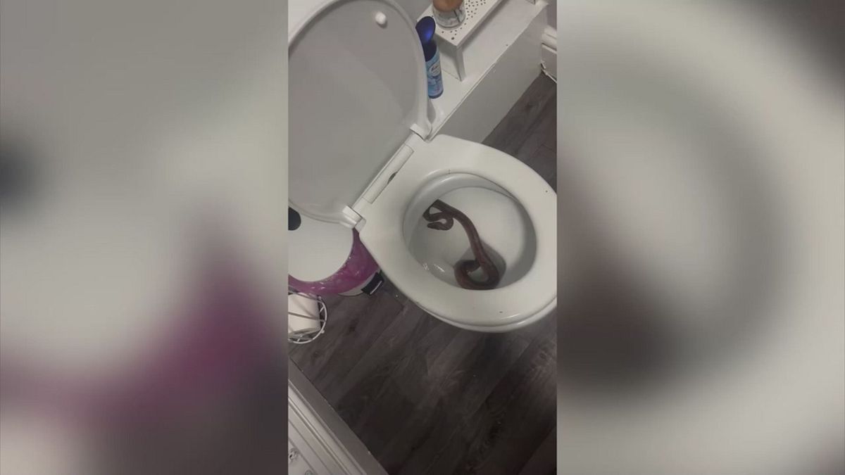 “Ben dehşete kapıldım, artık tuvalete gitmek istemiyorum”