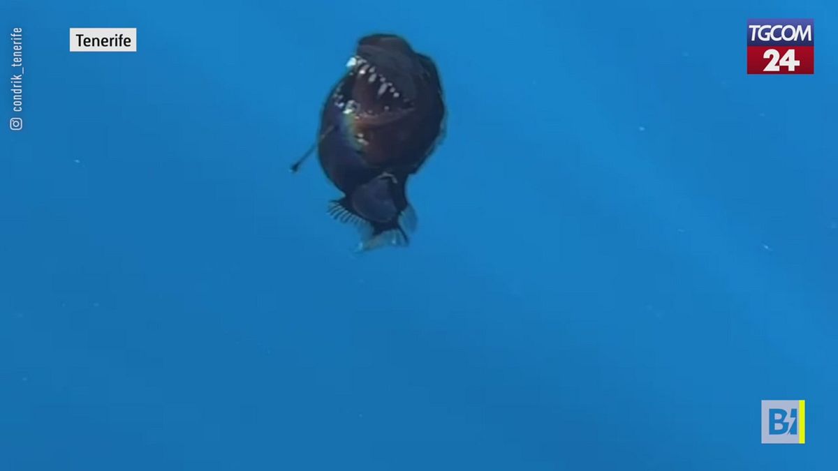 Tenerife, kara şeytanla yüz yüze