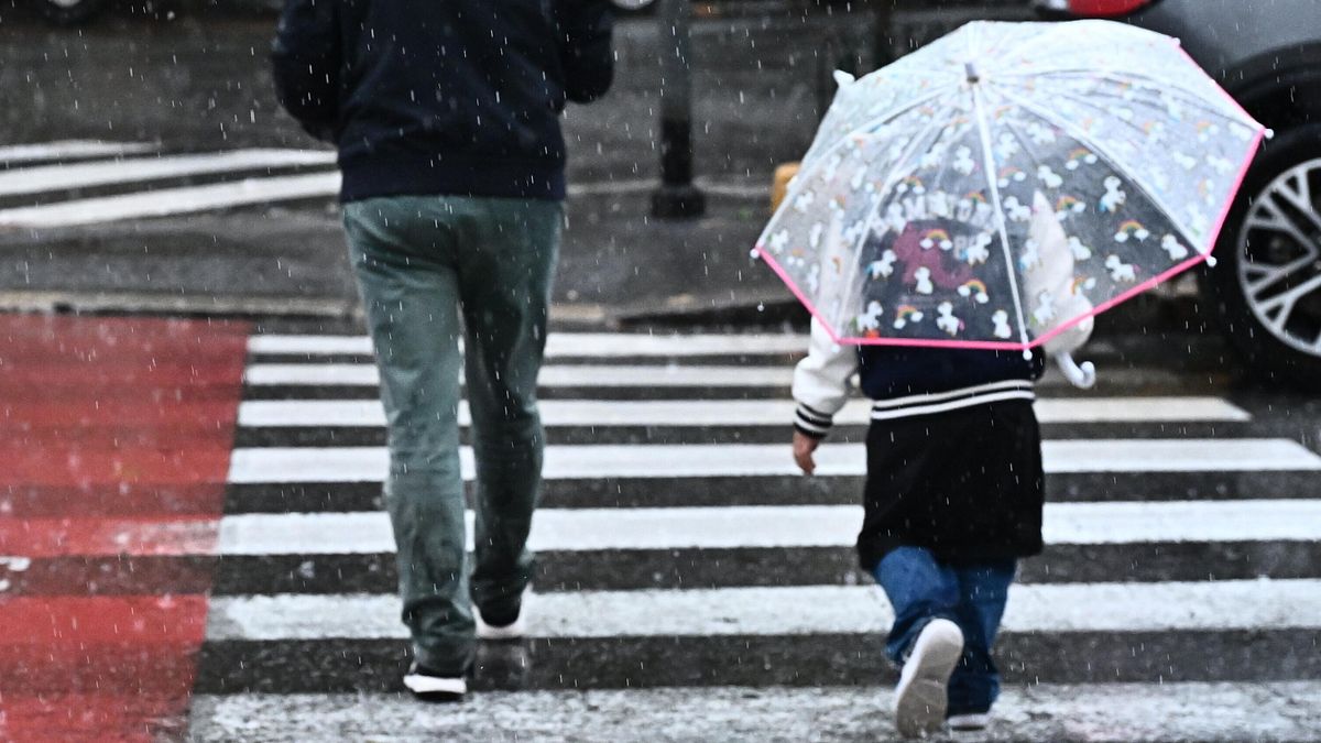 Emilia-Romagna'da kırmızı uyarı, Cuma günleri Bologna'da kapandı