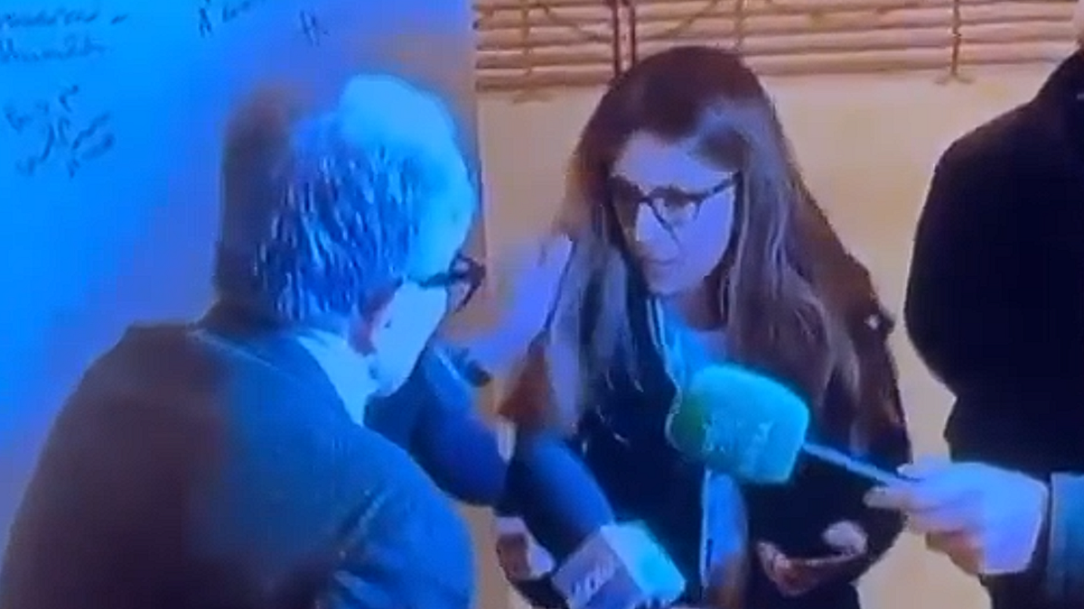 Gazeteci ile kavga, Prodi: Bir hata yaptım