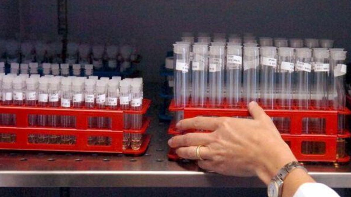 Yaşam tarzları, tarama ve aşılar “, çevrimiçi basın toplantısı