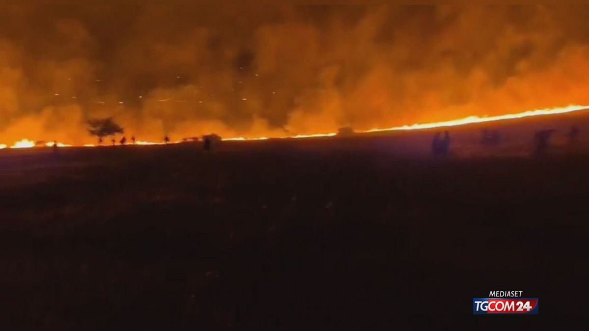 Incendi in Israele, il governo dichiara emergenza nazionale