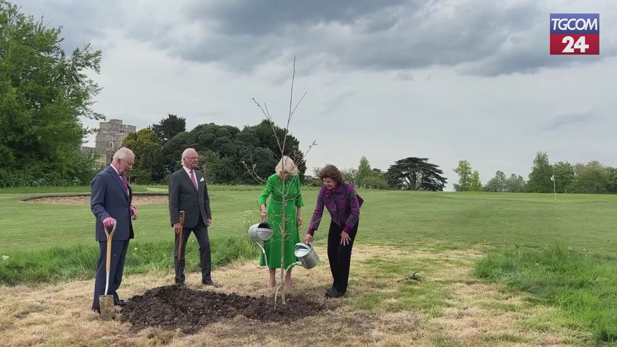 Windsor, Carlo e Camilla (e i reali di Svezia) alle prese con il giardinaggio
