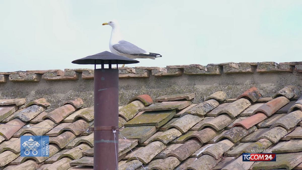 Conclave, il ritorno del gabbiano al comignolo