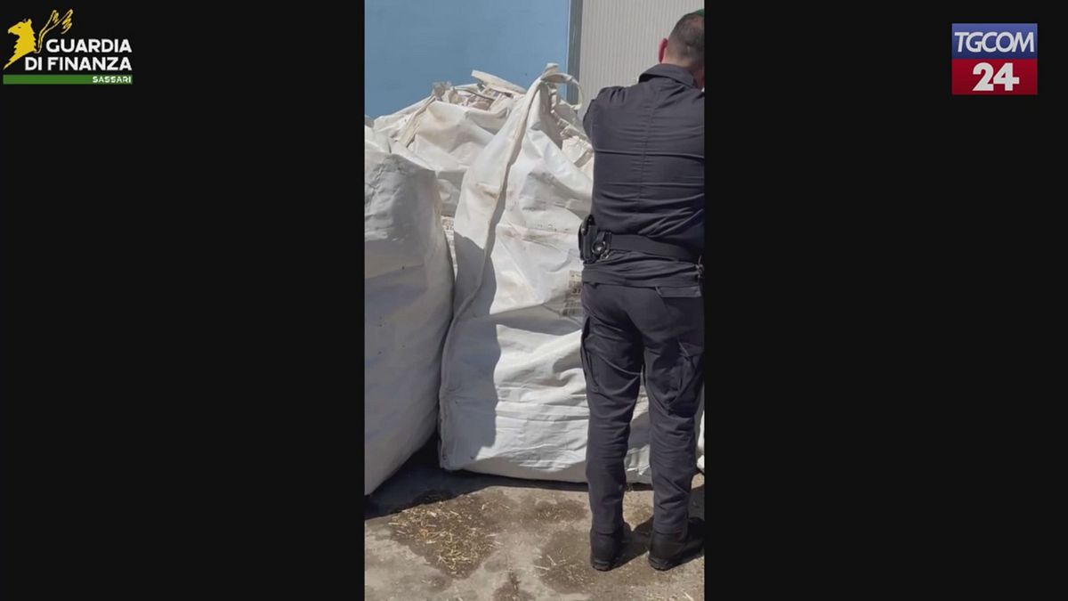 Sassari, sequestrate oltre 3,7 tonnellate di marijuana