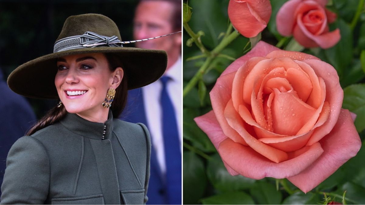 Un orto botanico dà il nome di Kate Middleton a una rosa: è omaggio al suo coraggio nella malattia