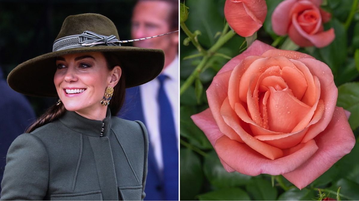Bir botanik sebze bahçesi Kate Middleton adını bir gül için verir